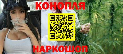 мяу мяу мука Будённовск