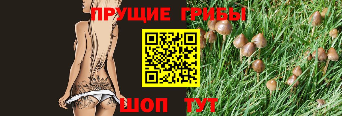 Псилоцибиновые грибы MAGIC MUSHROOMS  Вход с VPN  Переславль-Залесский 