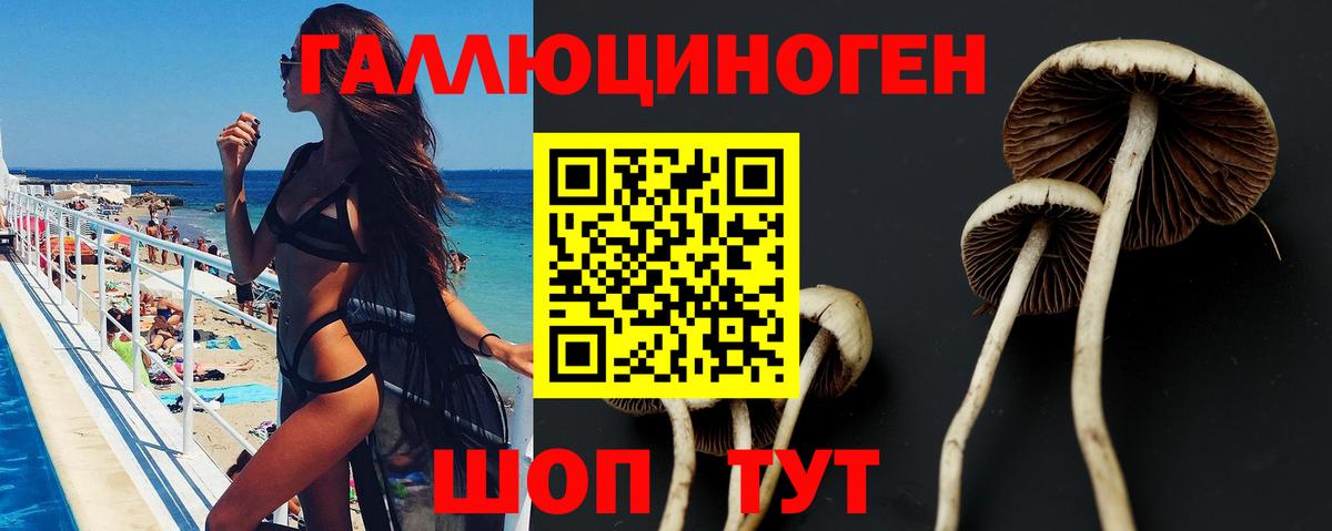 Галлюциногенные грибы GOLDEN TEACHER Переславль-Залесский